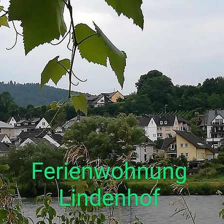 צל אן דר מוזל Die Ferienwohnung Lindenhof מראה חיצוני תמונה
