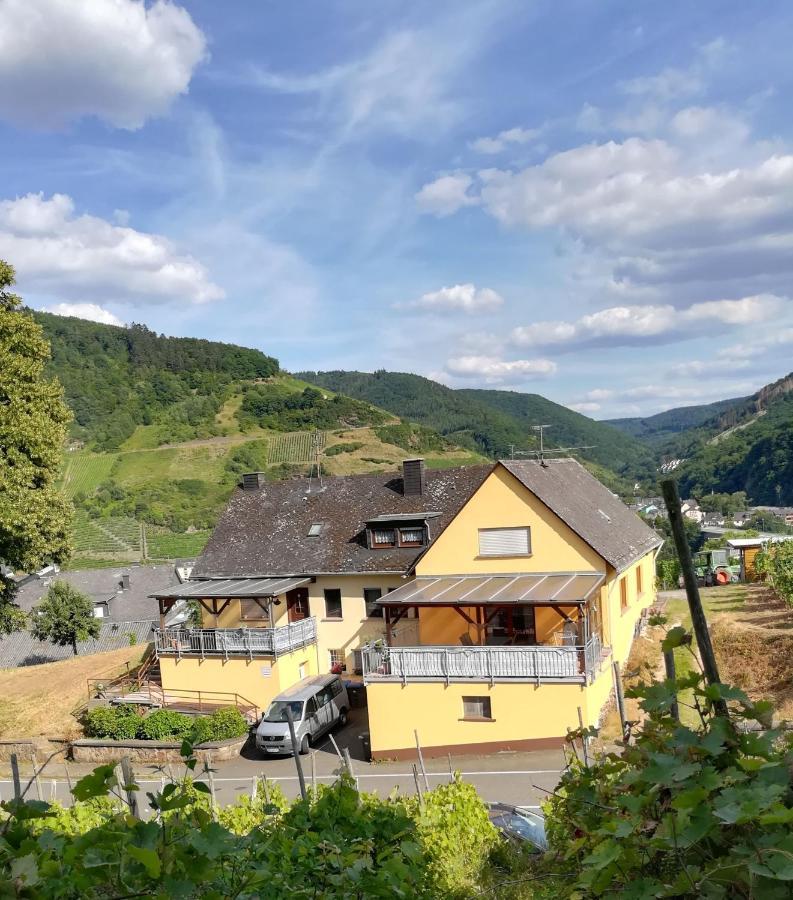 צל אן דר מוזל Die Ferienwohnung Lindenhof מראה חיצוני תמונה