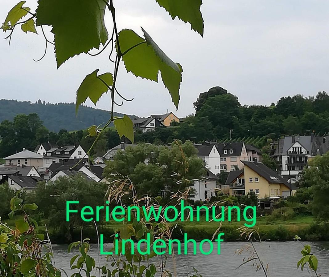 צל אן דר מוזל Die Ferienwohnung Lindenhof מראה חיצוני תמונה